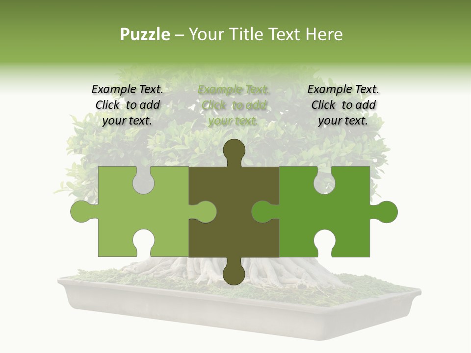 Season Walnut Forest PowerPoint Template