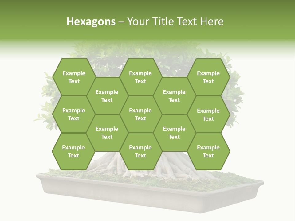 Season Walnut Forest PowerPoint Template