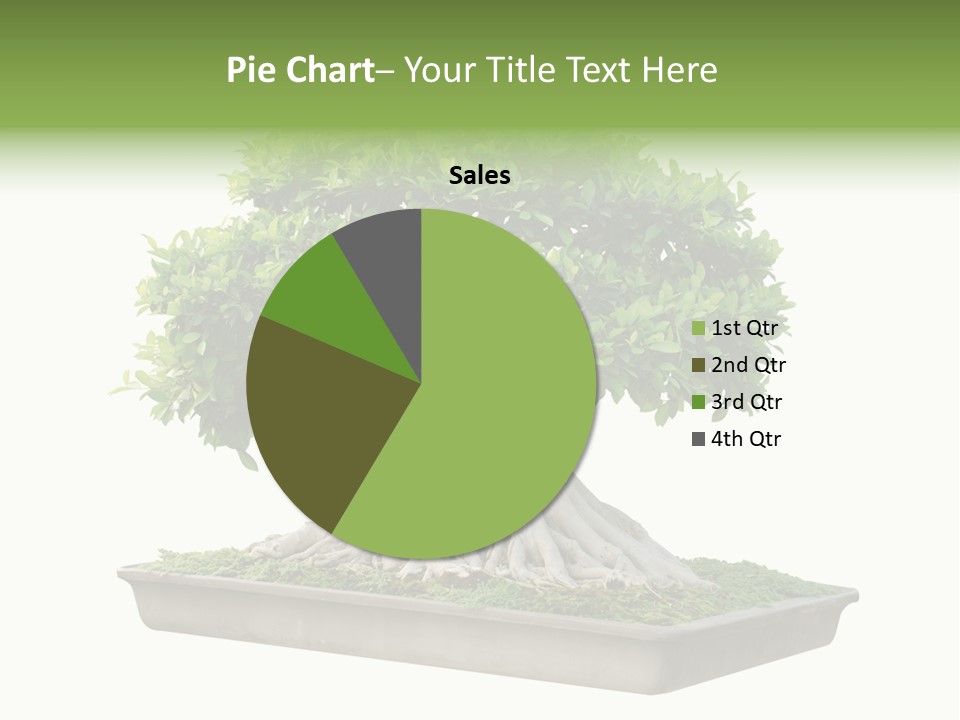 Season Walnut Forest PowerPoint Template