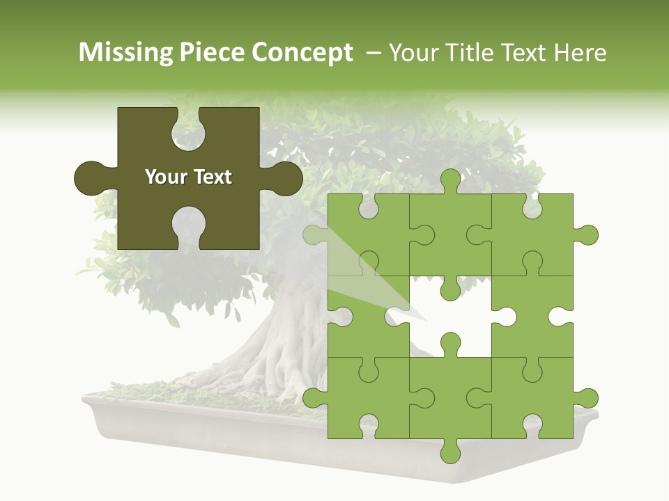 Season Walnut Forest PowerPoint Template