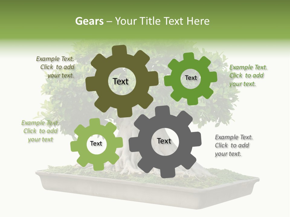 Season Walnut Forest PowerPoint Template