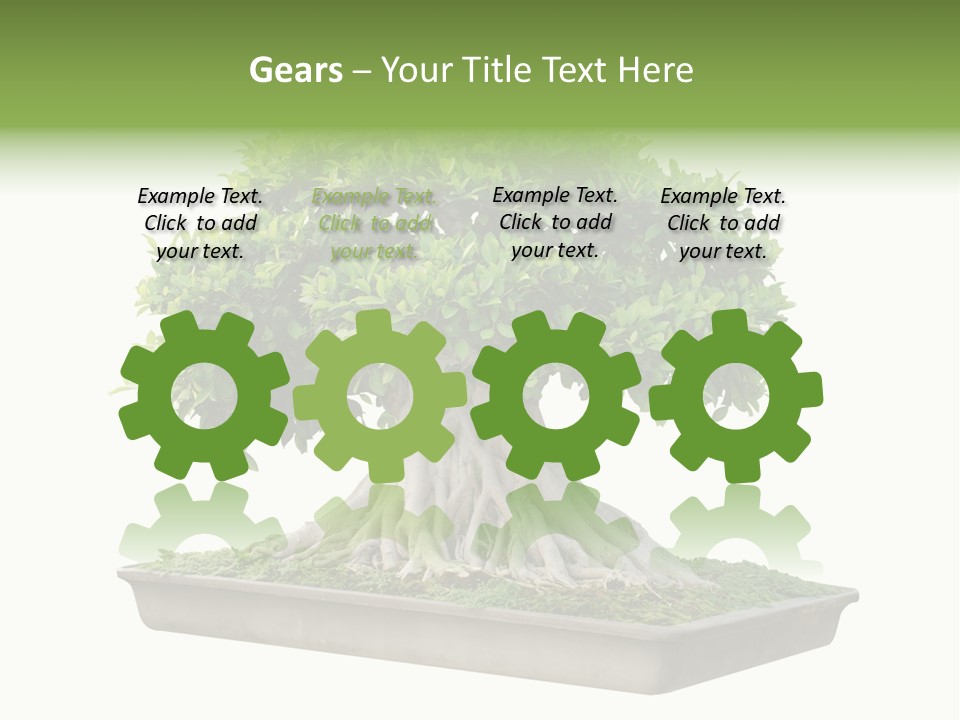 Season Walnut Forest PowerPoint Template