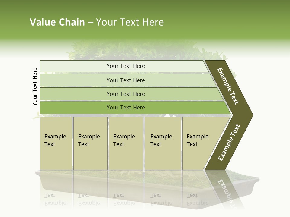 Season Walnut Forest PowerPoint Template