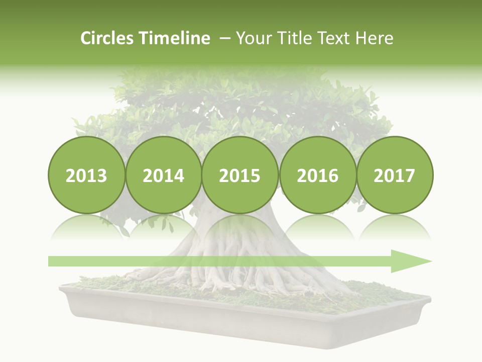 Season Walnut Forest PowerPoint Template