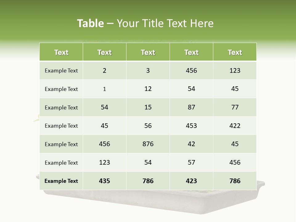 Season Walnut Forest PowerPoint Template