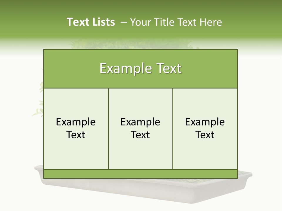 Season Walnut Forest PowerPoint Template