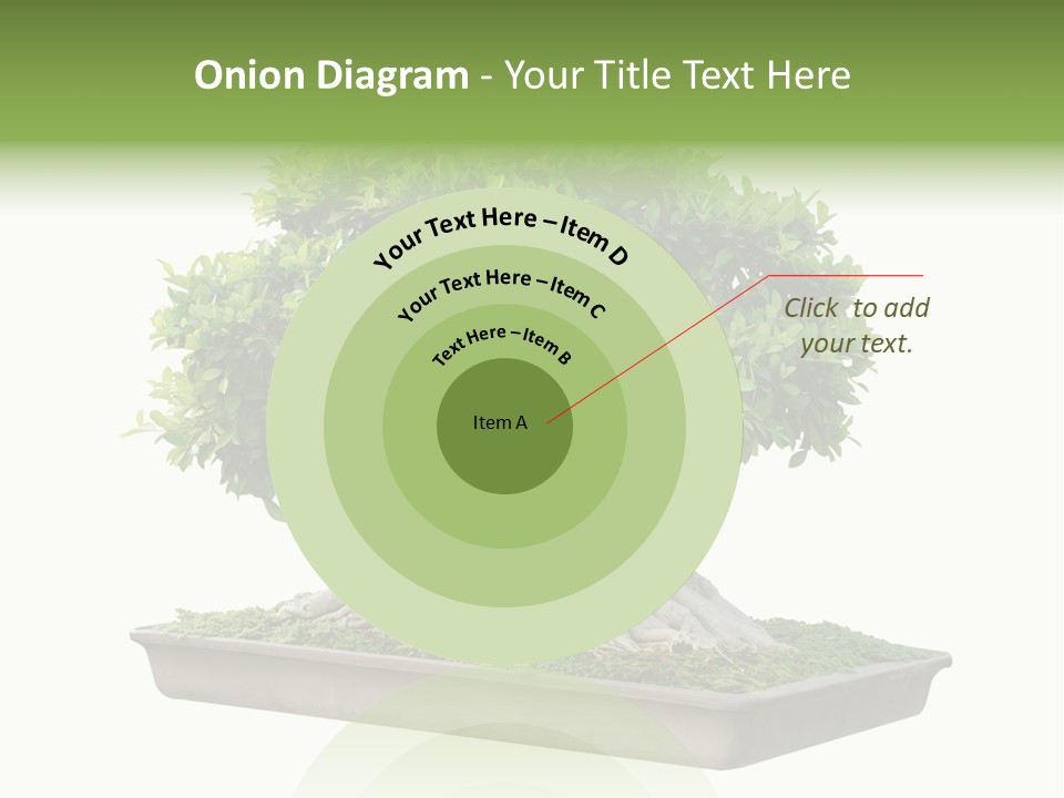 Season Walnut Forest PowerPoint Template