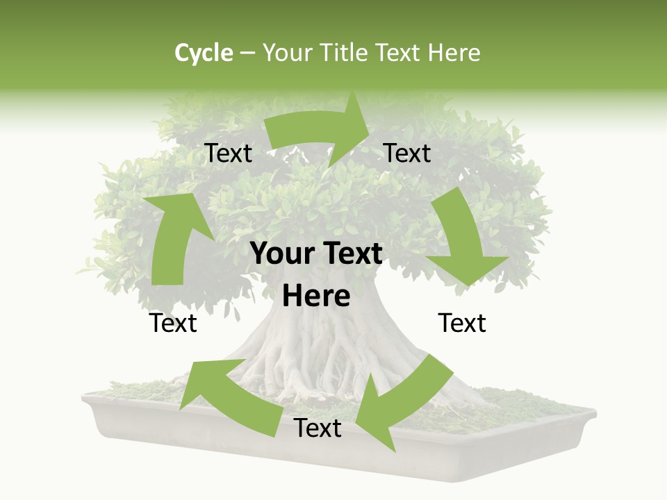 Season Walnut Forest PowerPoint Template