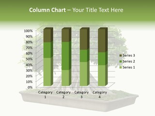 Season Walnut Forest PowerPoint Template