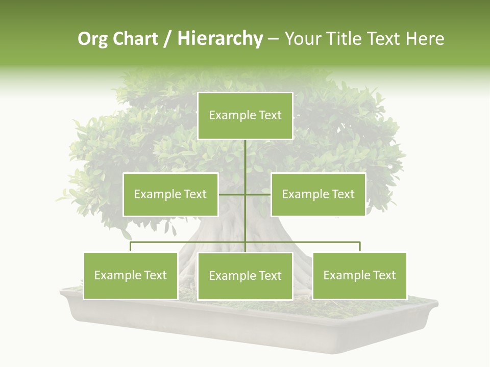 Season Walnut Forest PowerPoint Template
