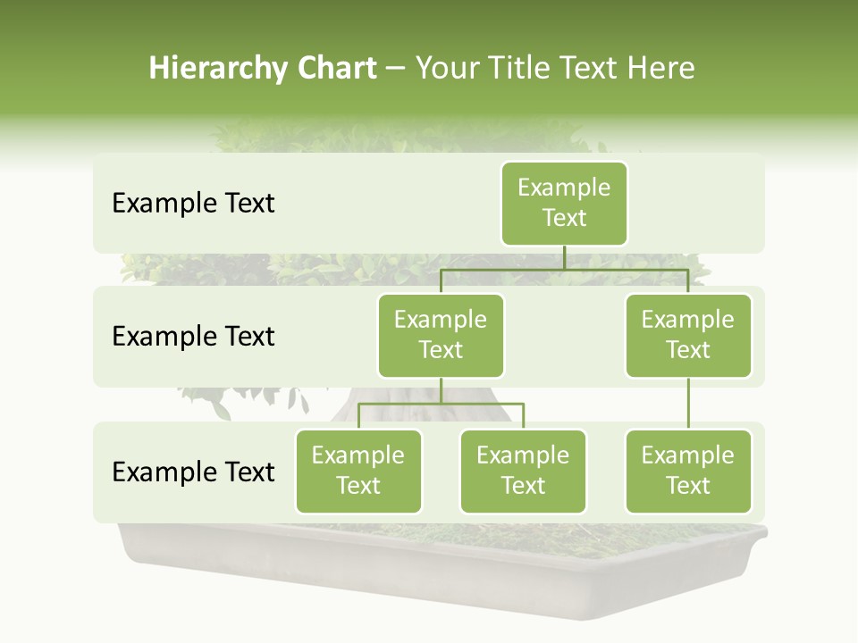 Season Walnut Forest PowerPoint Template