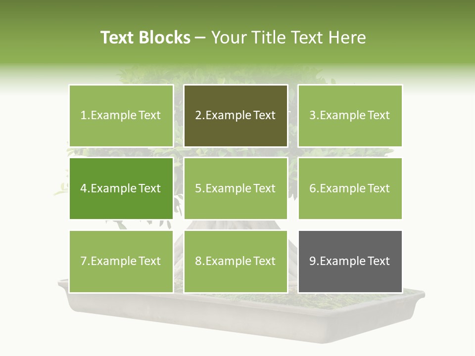 Season Walnut Forest PowerPoint Template