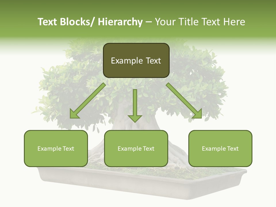 Season Walnut Forest PowerPoint Template