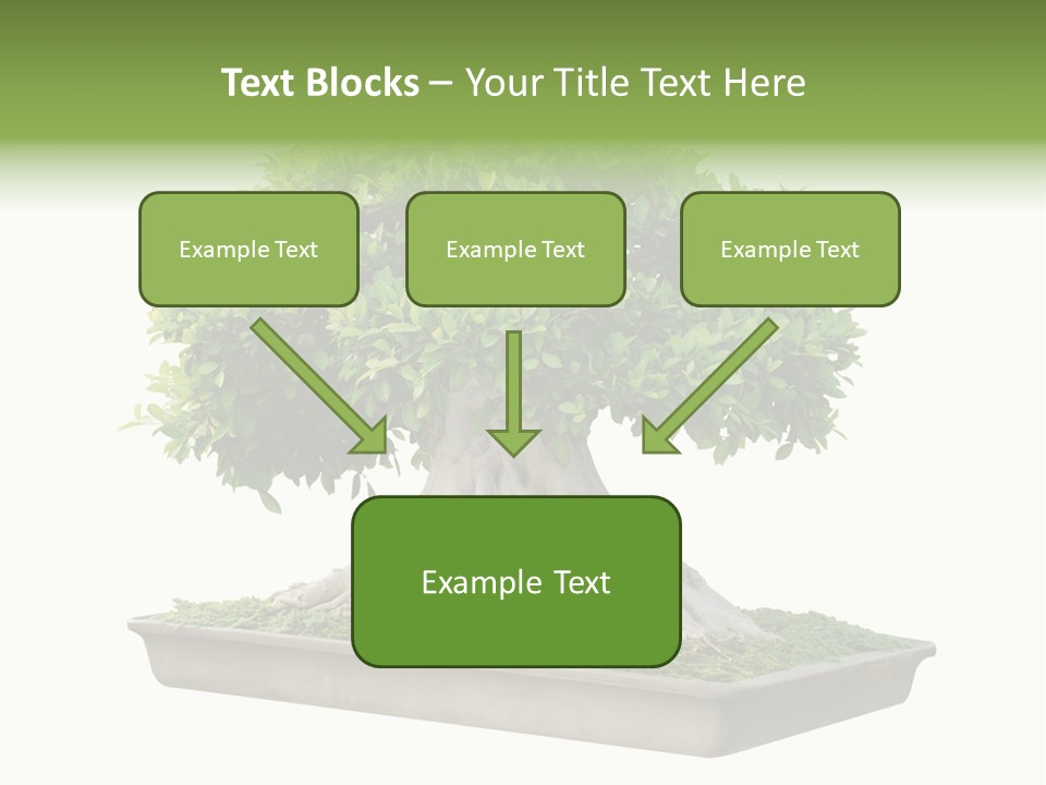 Season Walnut Forest PowerPoint Template