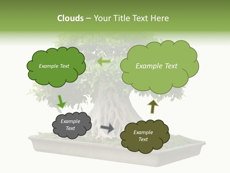Season Walnut Forest PowerPoint Template