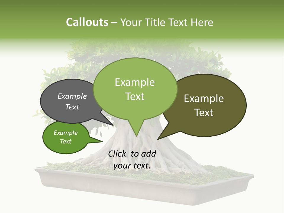 Season Walnut Forest PowerPoint Template