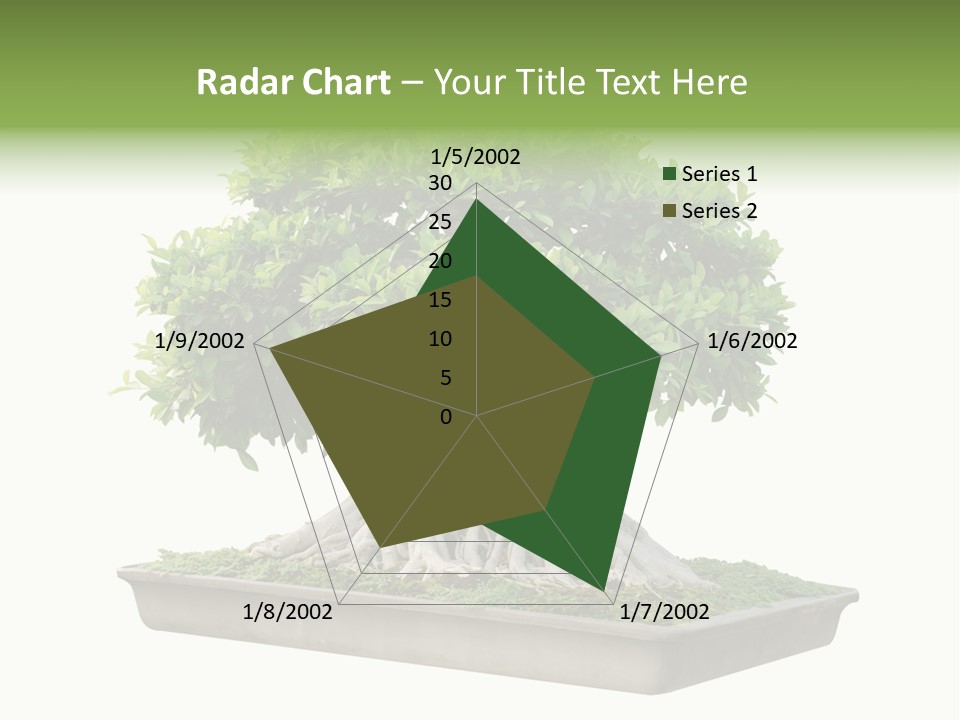 Season Walnut Forest PowerPoint Template