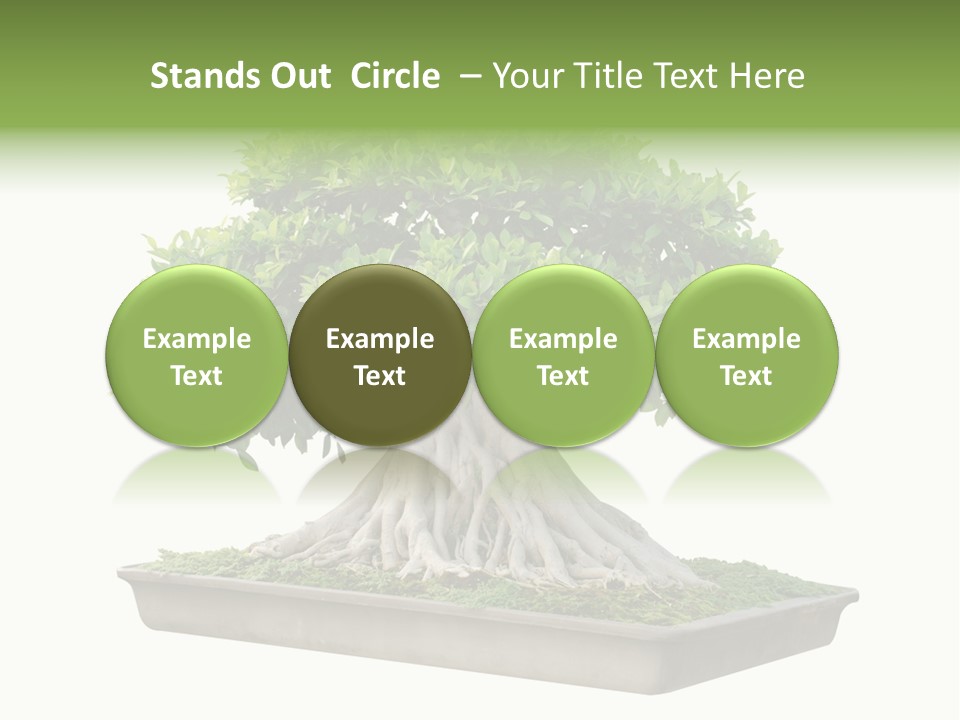 Season Walnut Forest PowerPoint Template