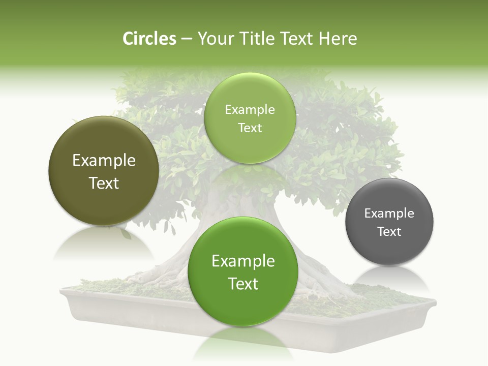 Season Walnut Forest PowerPoint Template