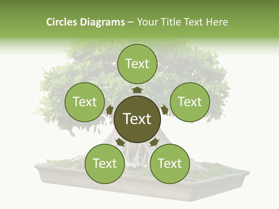 Season Walnut Forest PowerPoint Template