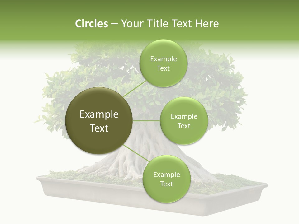 Season Walnut Forest PowerPoint Template