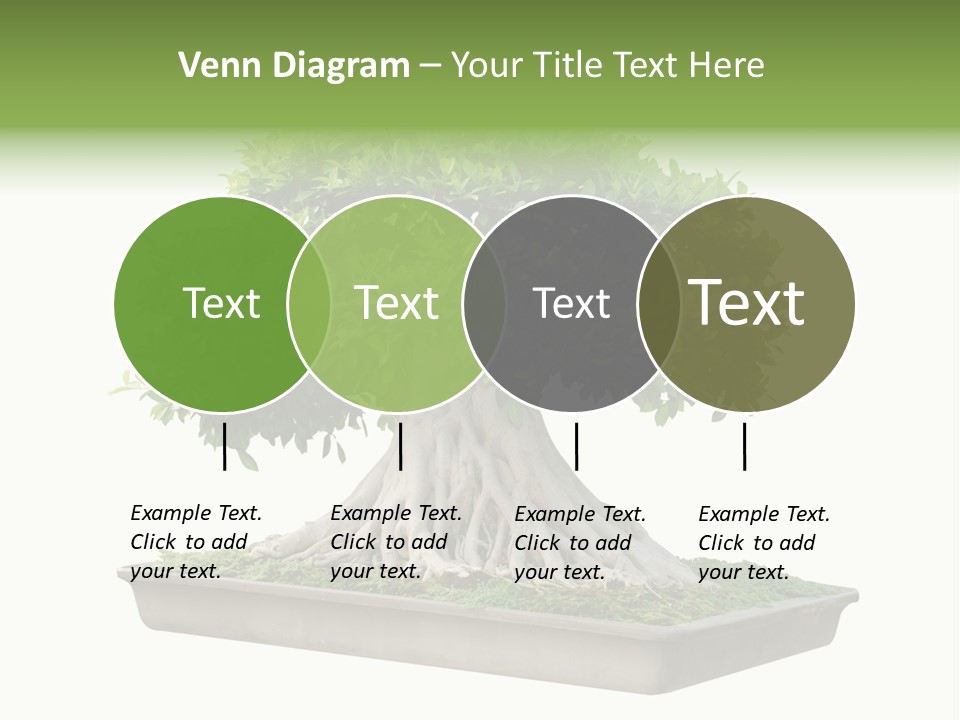Season Walnut Forest PowerPoint Template
