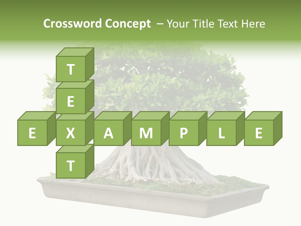 Season Walnut Forest PowerPoint Template