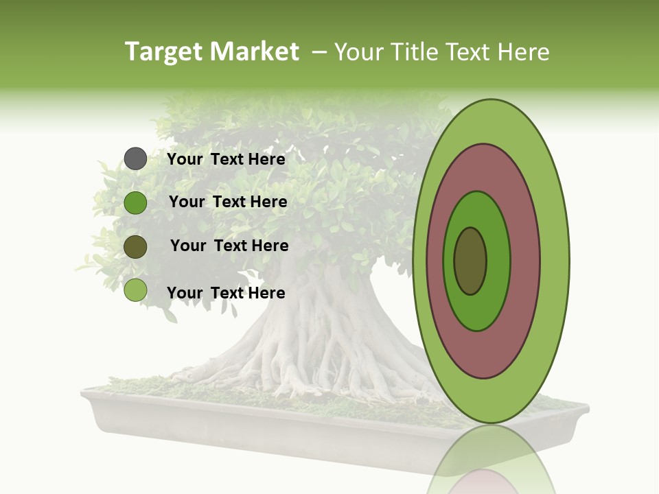 Season Walnut Forest PowerPoint Template