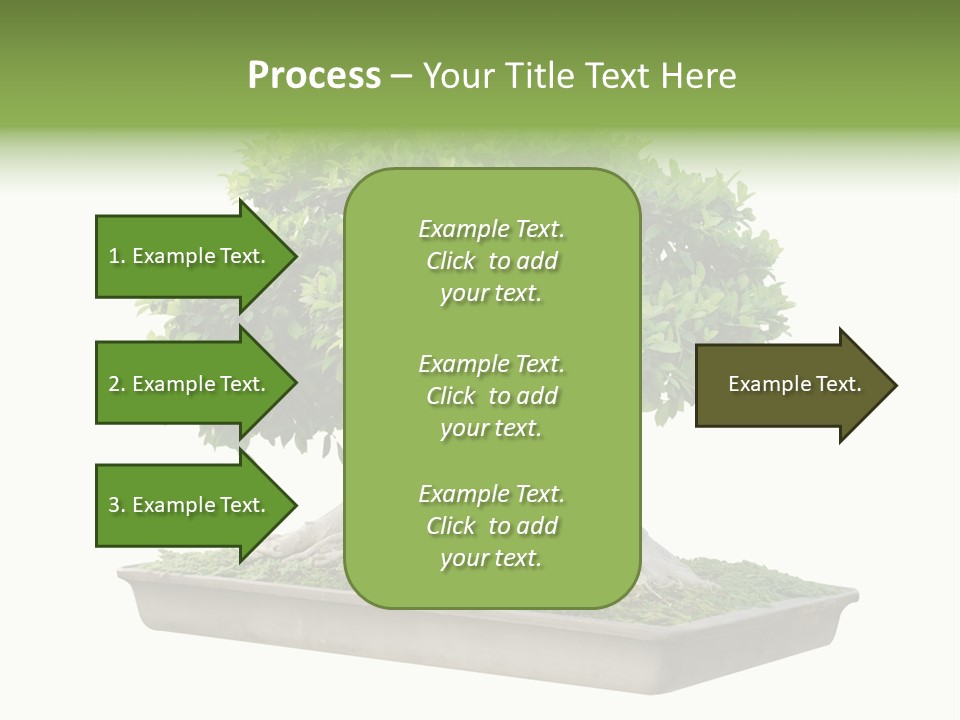 Season Walnut Forest PowerPoint Template