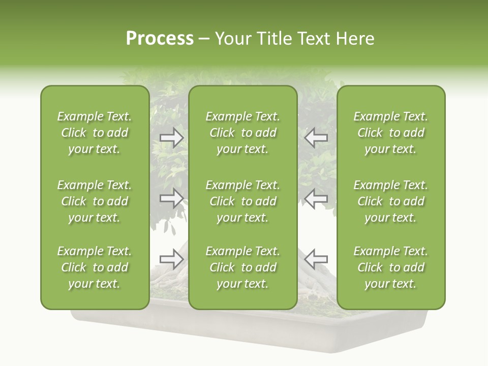 Season Walnut Forest PowerPoint Template