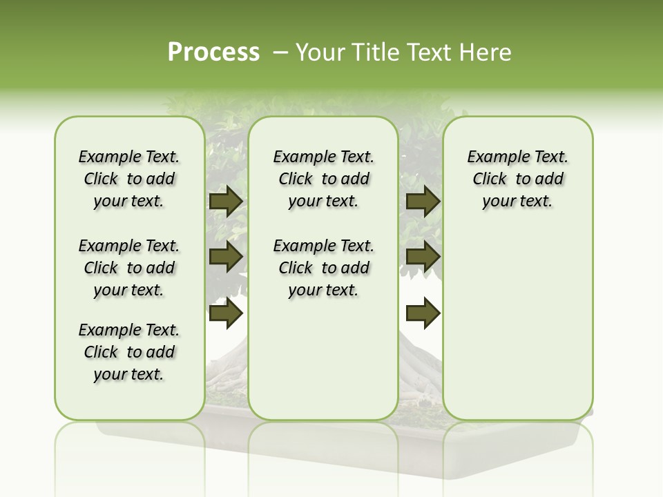 Season Walnut Forest PowerPoint Template