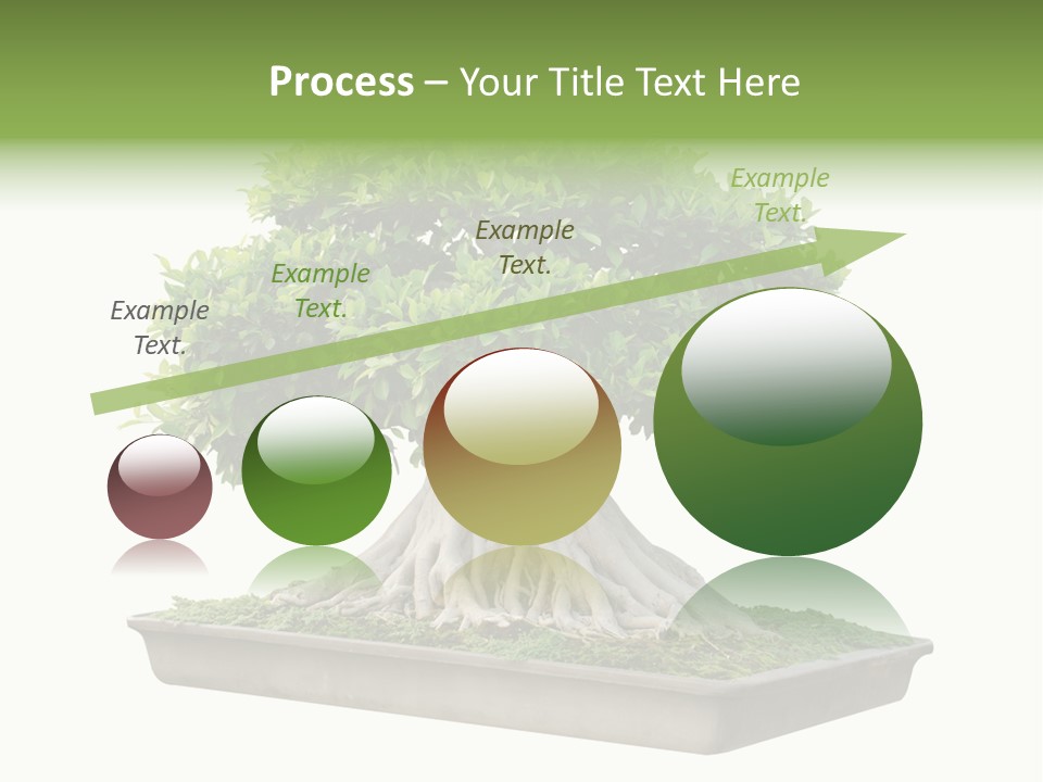 Season Walnut Forest PowerPoint Template