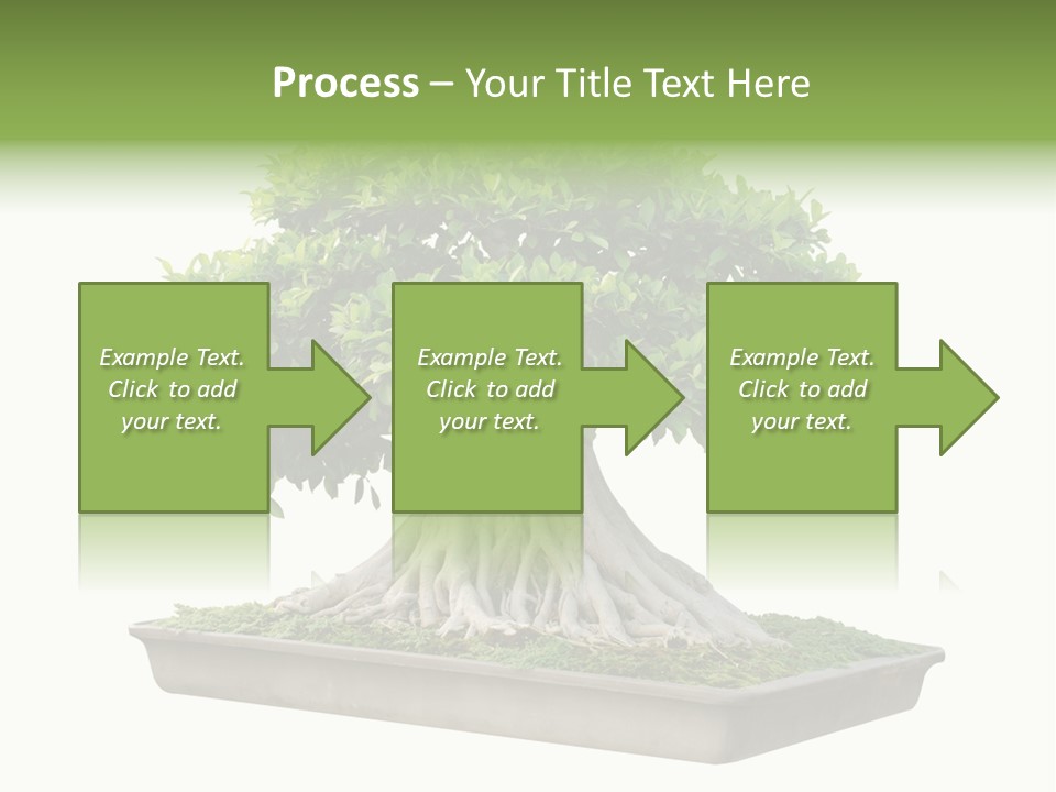 Season Walnut Forest PowerPoint Template