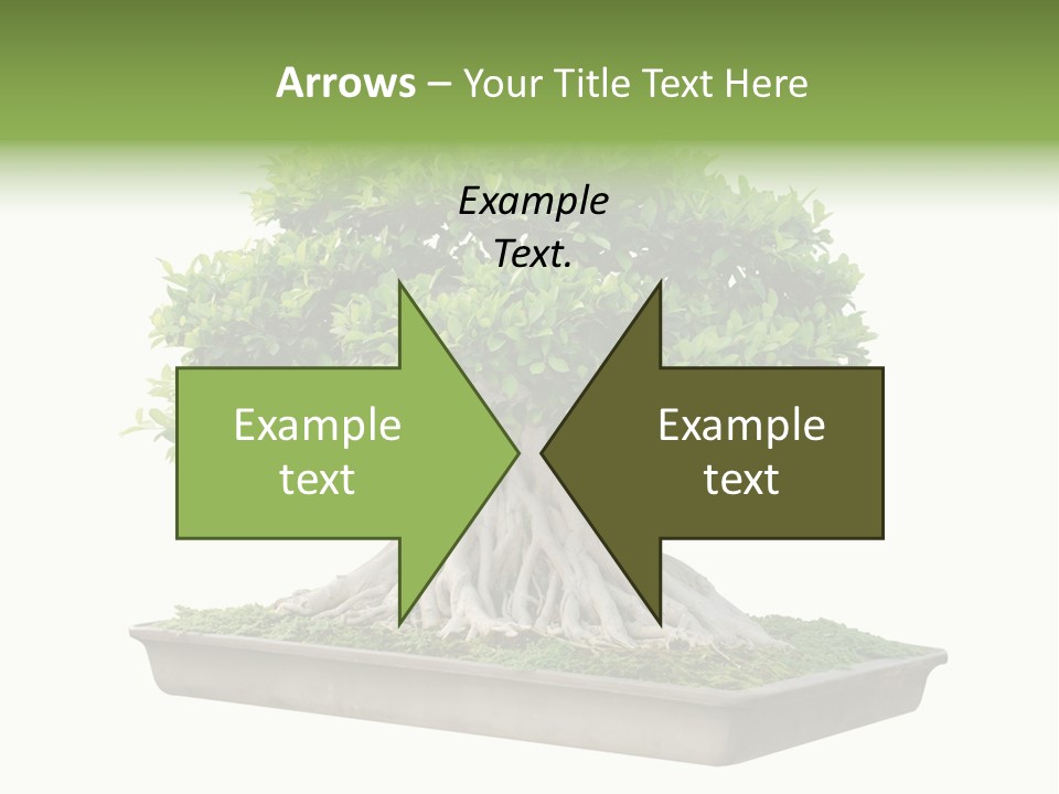 Season Walnut Forest PowerPoint Template