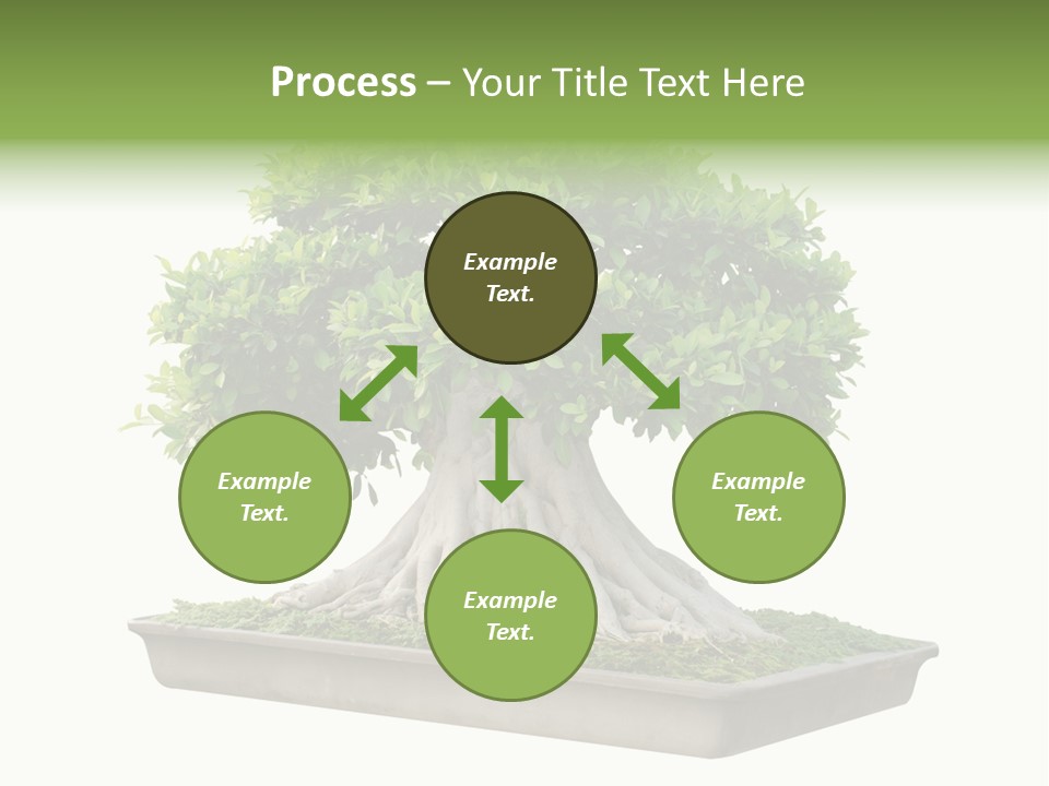 Season Walnut Forest PowerPoint Template