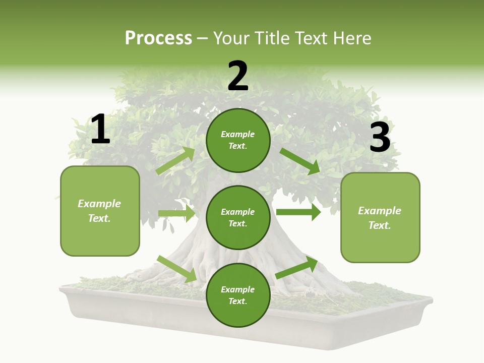 Season Walnut Forest PowerPoint Template