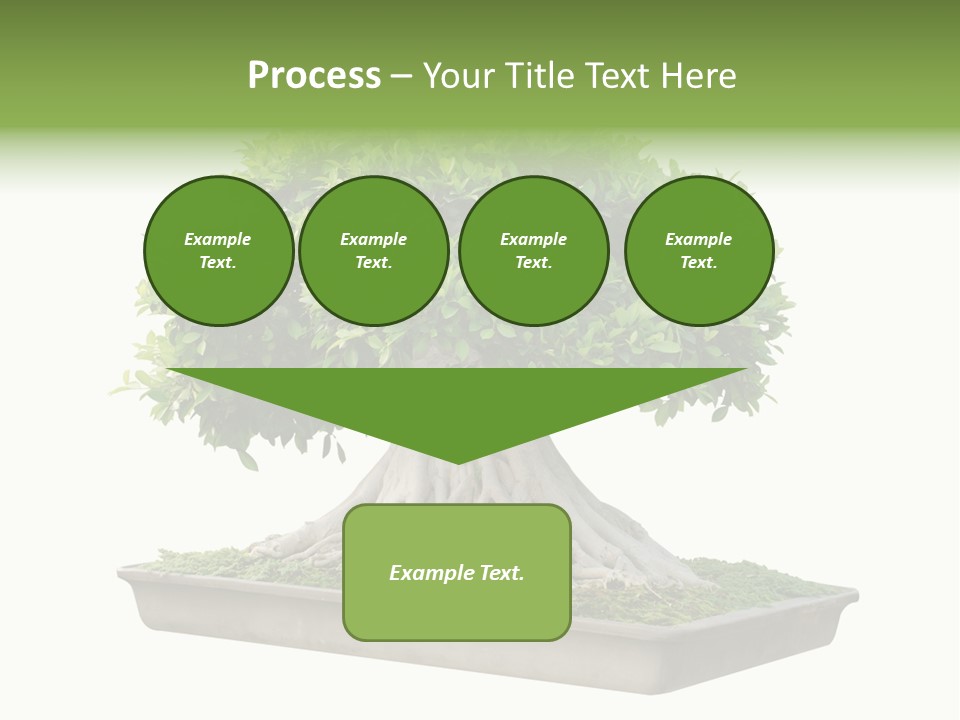 Season Walnut Forest PowerPoint Template