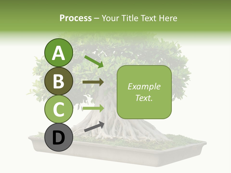 Season Walnut Forest PowerPoint Template