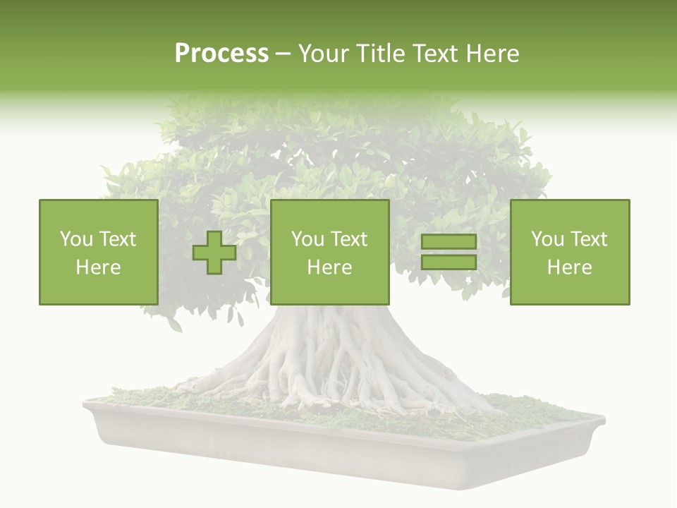 Season Walnut Forest PowerPoint Template