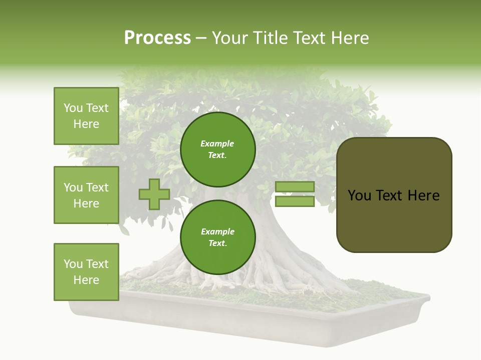 Season Walnut Forest PowerPoint Template
