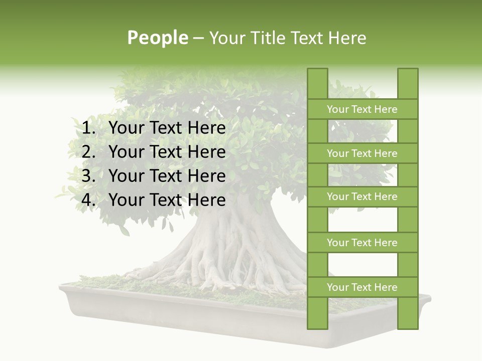 Season Walnut Forest PowerPoint Template