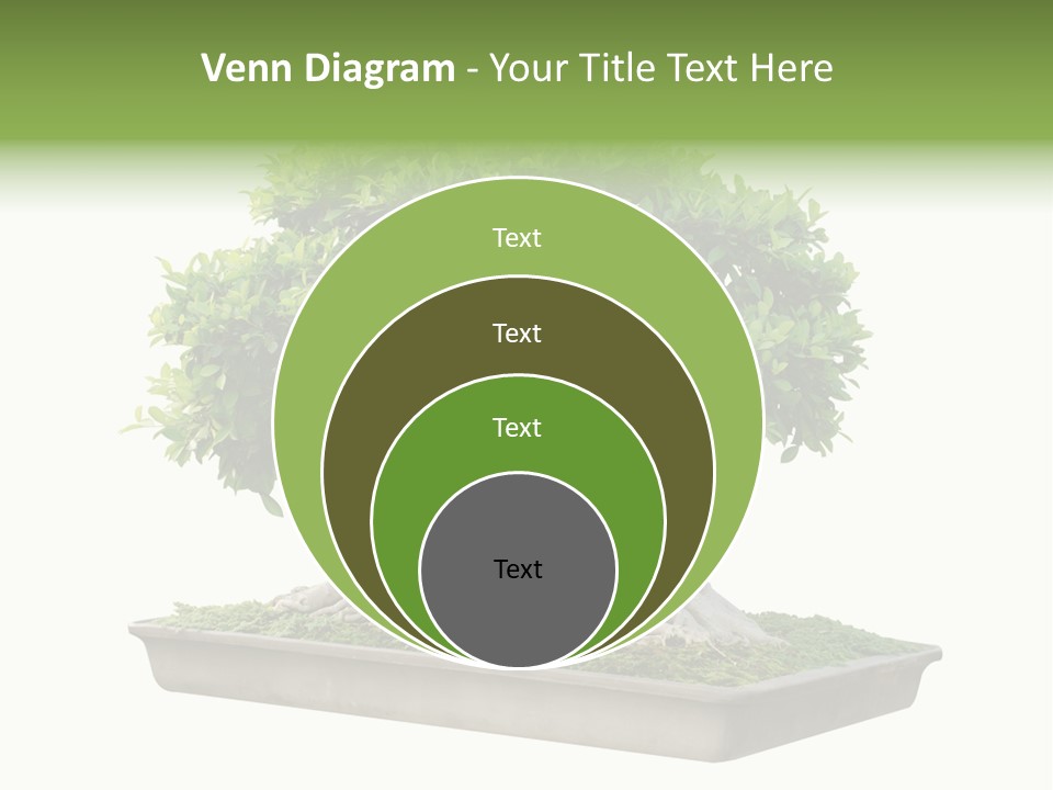 Season Walnut Forest PowerPoint Template