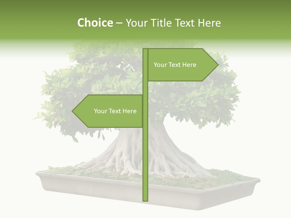 Season Walnut Forest PowerPoint Template