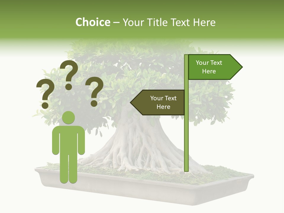 Season Walnut Forest PowerPoint Template