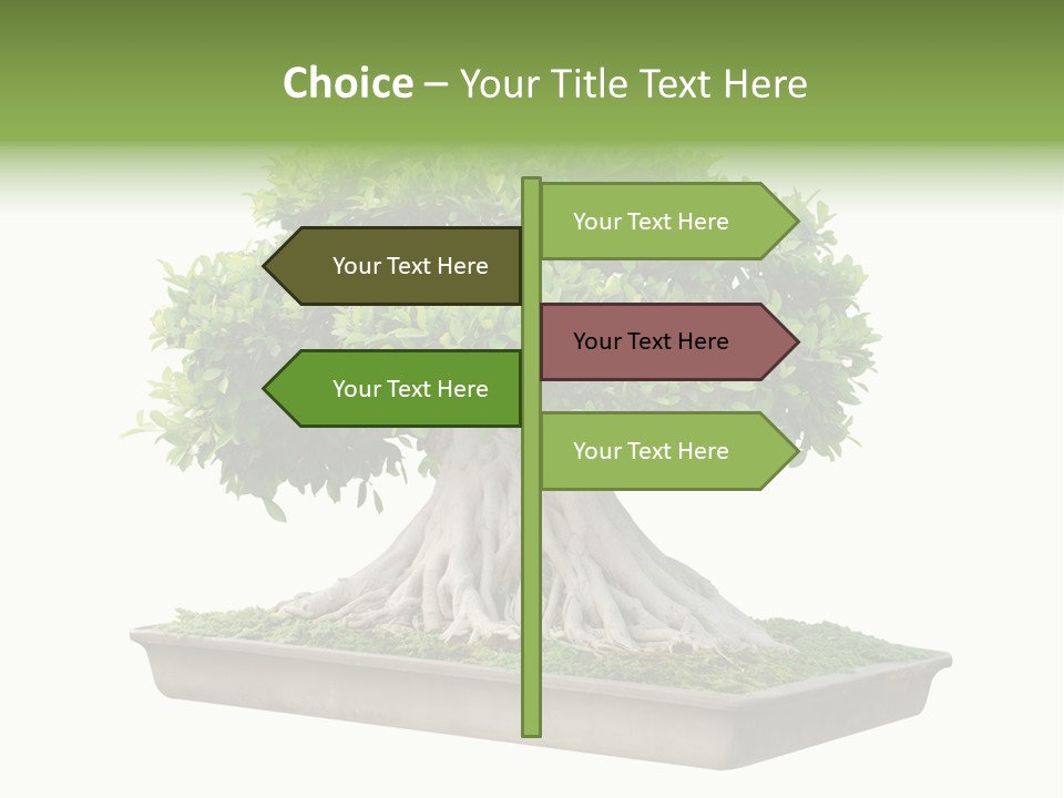 Season Walnut Forest PowerPoint Template