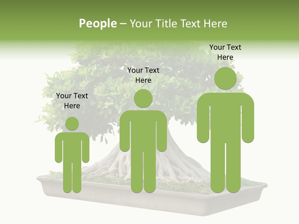 Season Walnut Forest PowerPoint Template