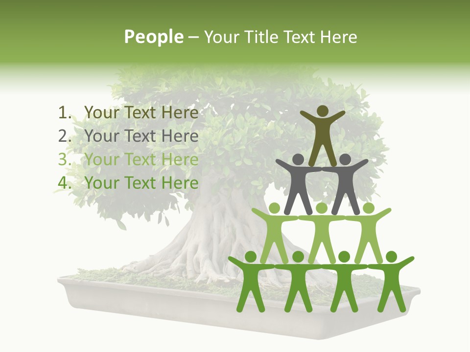 Season Walnut Forest PowerPoint Template