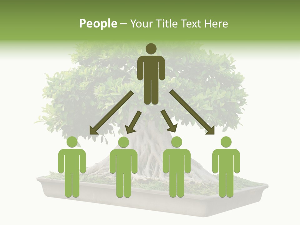 Season Walnut Forest PowerPoint Template