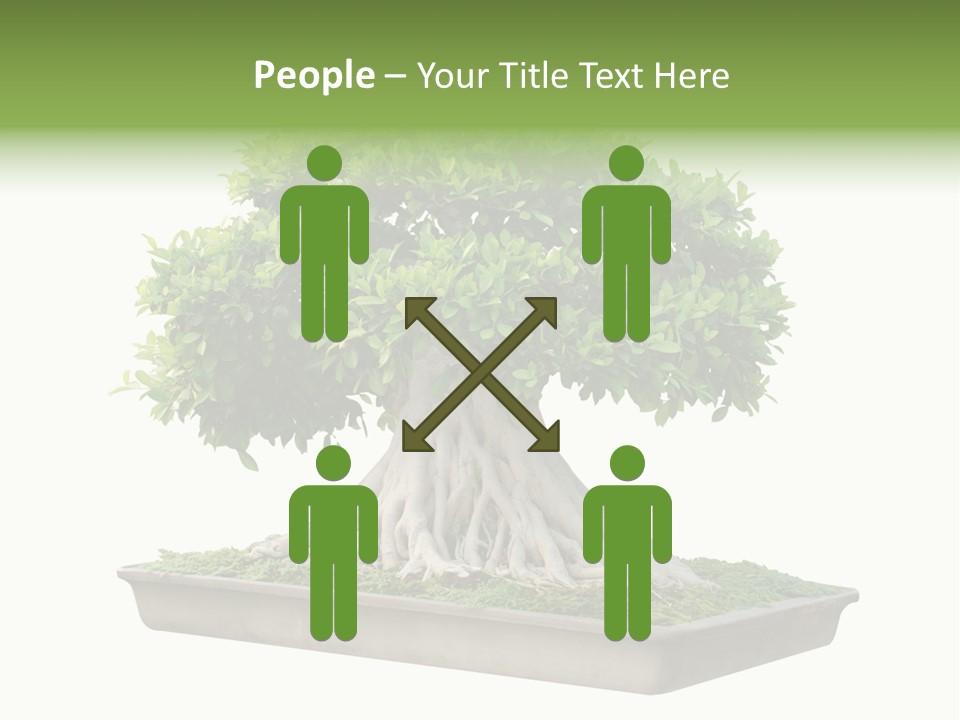 Season Walnut Forest PowerPoint Template