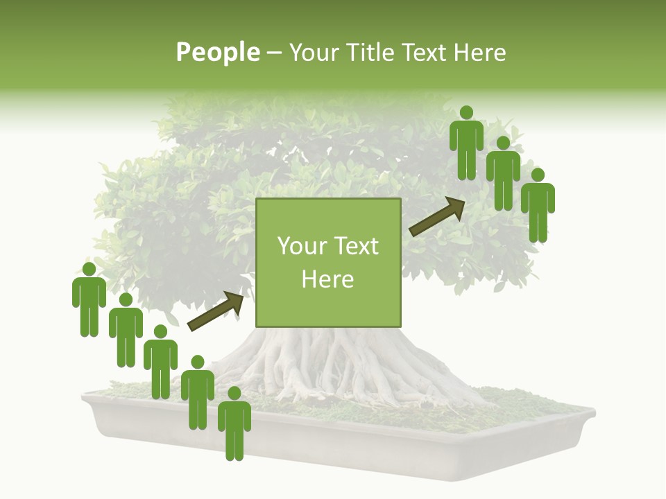 Season Walnut Forest PowerPoint Template